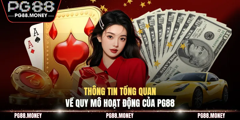 Thông tin tổng quan về quy mô hoạt động của PG88