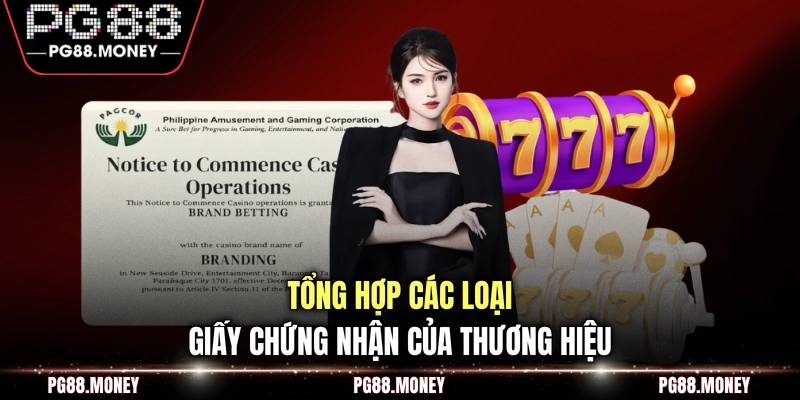 Tổng hợp các loại giấy chứng nhận của thương hiệu